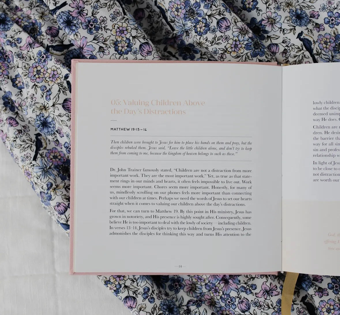 Steadfast Motherhood Devotional