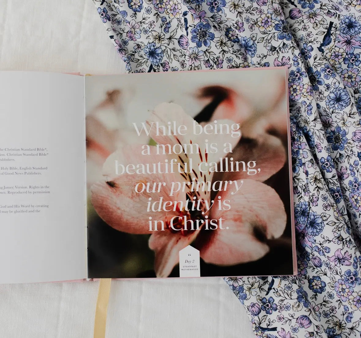 Steadfast Motherhood Devotional