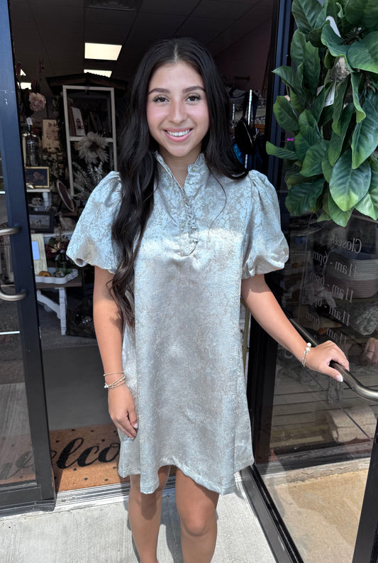 Shelby Silver Ruffle Neck Dress